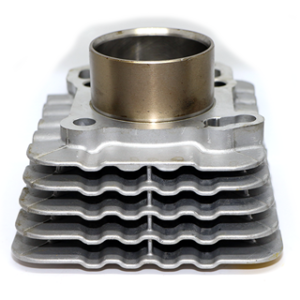 Cyl Block Piston ASSLY-LPG,PET 4S BSIV